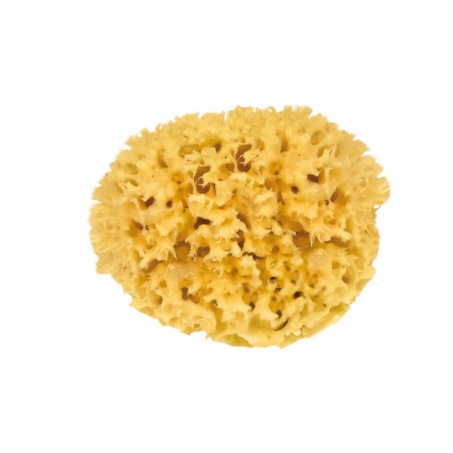 Croll & Denecke - Naturlig Badsvamp, Honeycomb 12 cm