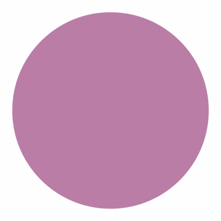 Born to Bio - Organic Liquid Lipstick 3ml, NO 2 Lilas