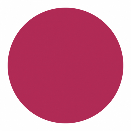 Born To Bio - Organic Lipstick 3.5 gr, N 4 Framboise