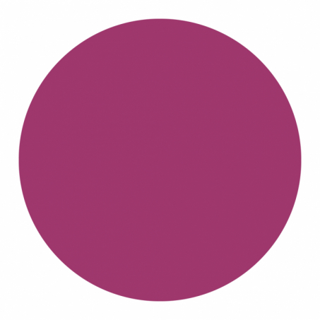 Born To Bio - Organic Lipstick 3.5 gr, N 5  Raisin