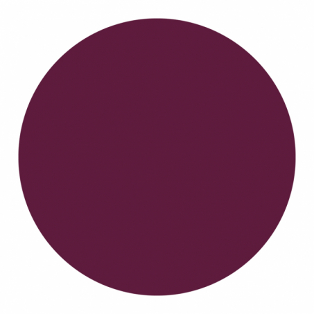 Born To Bio - Organic Lipstick 3.5 gr, N 6 Prune