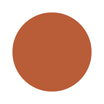 Born To Bio - Organic Bronzing Powder, No 2 Intense