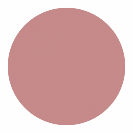 Born To Bio - Organic Matt Lipstick 3.5 gr, N 02 Nude Rose