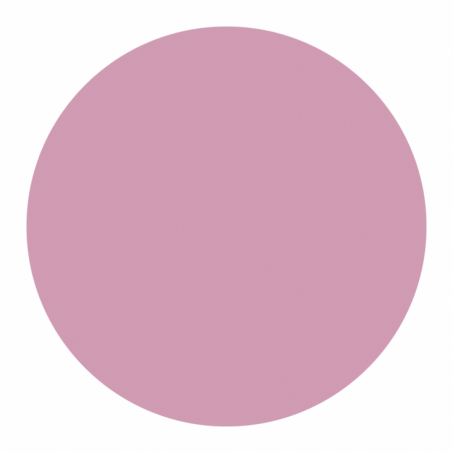 Born To Bio - Organic Matt Lipstick 3.5 gr, N 01 Rose Lilas