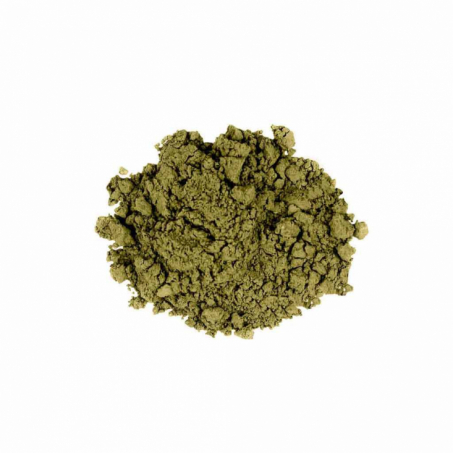 Uoga Uoga - Mineral Eye Shadow With Amber, Northern Fern 720