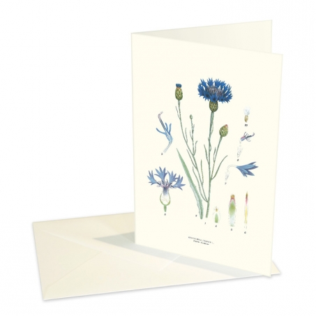 Design Collection - Kort, Blåklint, Östergötland