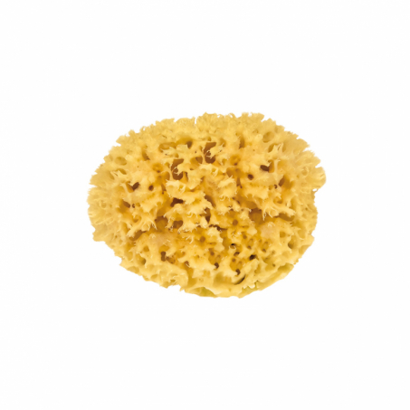 Croll & Denecke - Naturlig Badsvamp, Honeycomb 8 cm