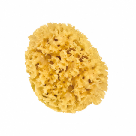 Croll & Denecke - Naturlig Badsvamp, Honeycomb 10 cm