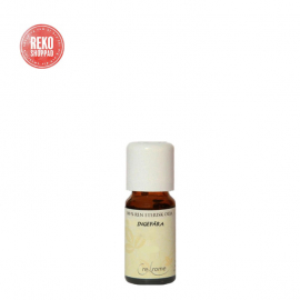 Rekofynda - Eterisk Olja Ingefära EKO, 5 ml
