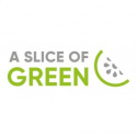 A Slice of Green - Diskborste i Trä och Tampicofiber