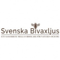 Svenska Bivaxljus - Handstöpta Bivaxljus Tårtljus 10 st