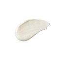 Evolve Organic Beauty - Daily Renew Facial Cream