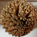 Bambaw - Sugrör Ekologisk Bambu, 13 cm