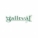 Galltvål - Flytande Gallsåpa 500 ml