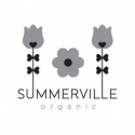 SUMMERVILLE Organic - Bitring i Trä och Silikon, Koala, Grå