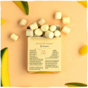 True Gum - Plastfritt Tuggummi Mango