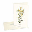 Design Collection -  Kort, Ginst, Halland