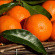 Alteya Organics - Eterisk olja Mandarin EKO, 5ml