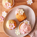 Schnitzer - Glutenfri & Eko Cup Cake, Vanilj 