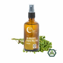 Terra Gaia - Air Freshener, Energizing, 100 ml