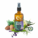 Terra Gaia - Air Freshener, Breathe Free, 100 ml
