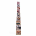 Egmont Toys - Stapeltorn, Dino