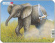 Larsen - Litet Rampussel Vilda Djurungar Elefant, 9 Bitar