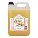 Källans Naturprodukter - Småländsk Linoljesåpa Äpple Kanel, 5 L