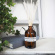 Klinta - Doftpinnar Aromaterapi, Tea Tree & Geranium