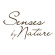 Senses by Nature - Aroma Roll-On 5 ml, Energy